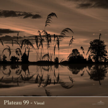 PHLOFI038_web