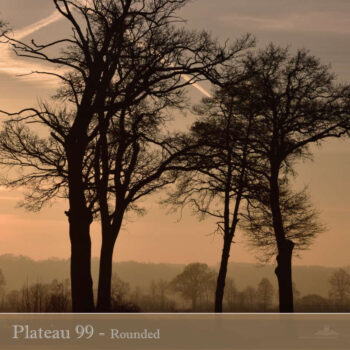 PHLOFI099_web